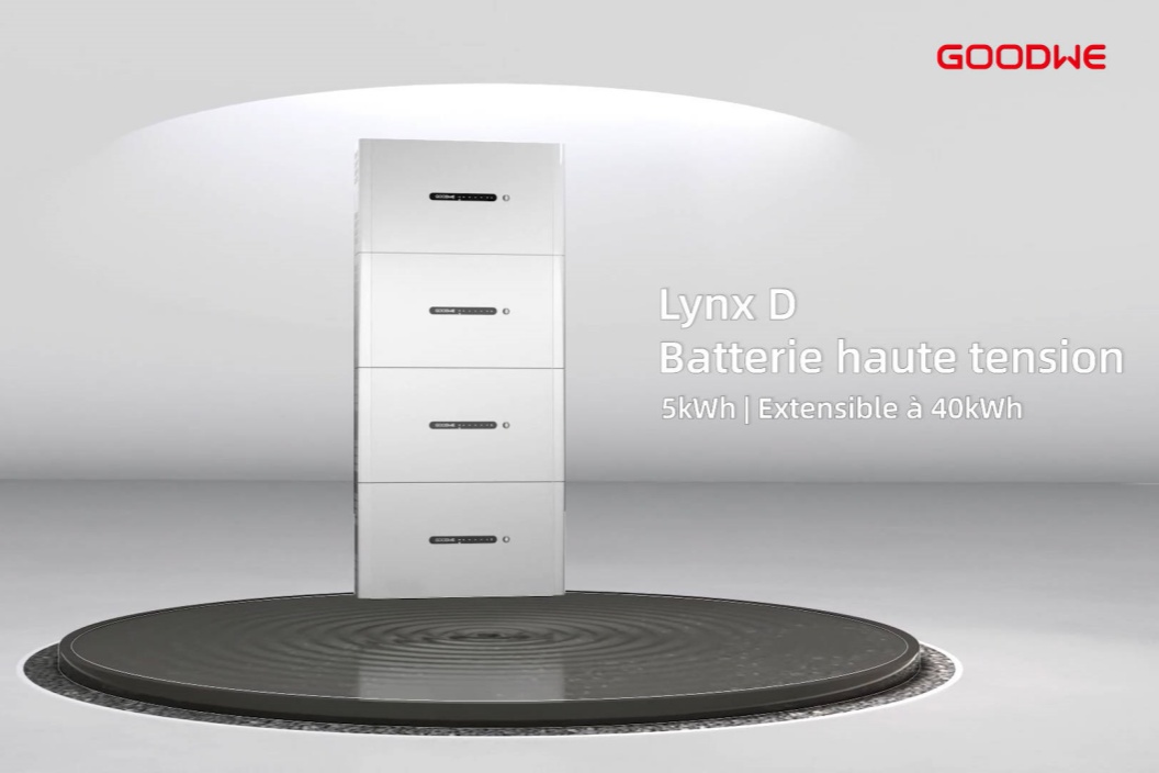 LynxD_FR_.jpg