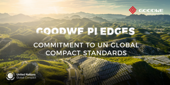 1647265790893328.png 501.png